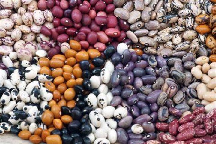 Can you steam dried beans?