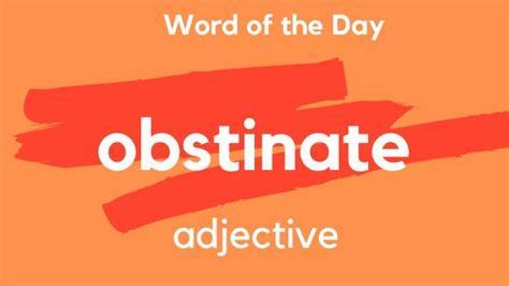 Does obstinate have a negative connotation?
