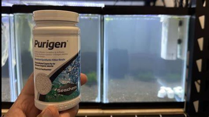 Does seachem stability make tank cloudy?
