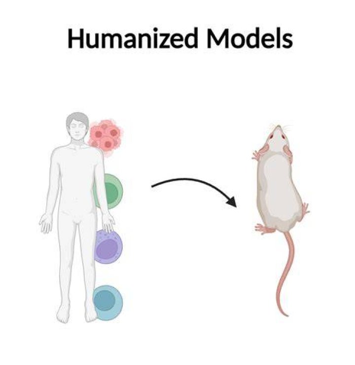 How nature gets humanised?
