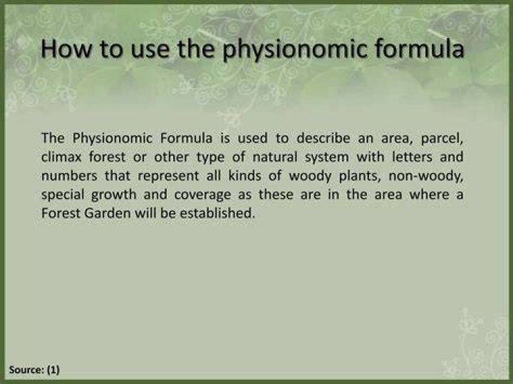 Is physiognomic a word?