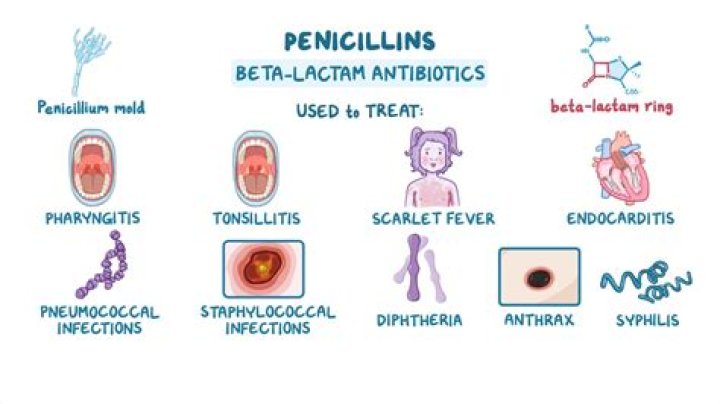 Why is penicillin a hapten?